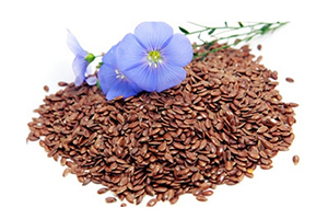 semillas-de-lino-o-linaza marrón con flor